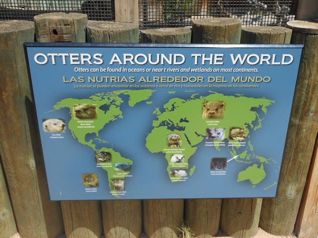Otters of the world interpretive sign