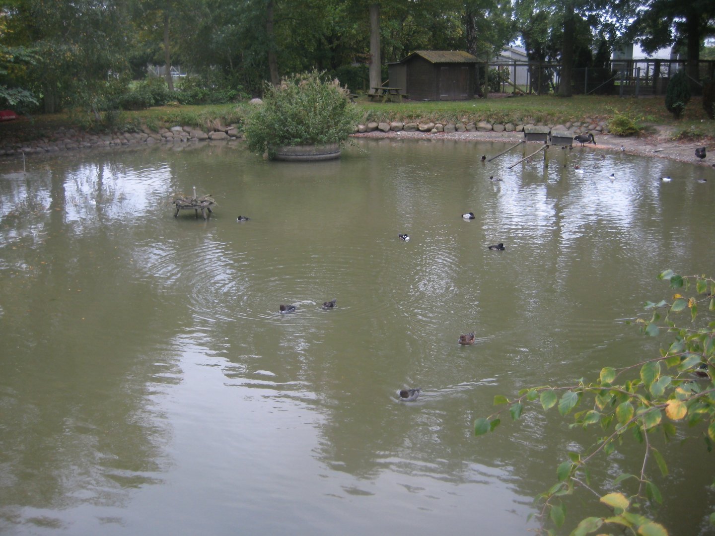 Otterup Andedam - Main pond