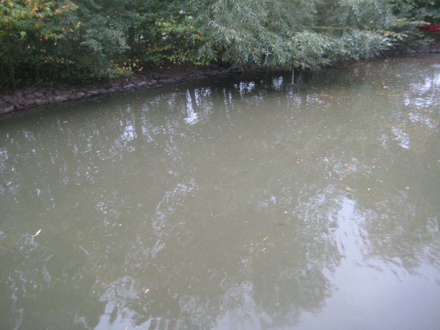 Otterup Andedam - Main pond