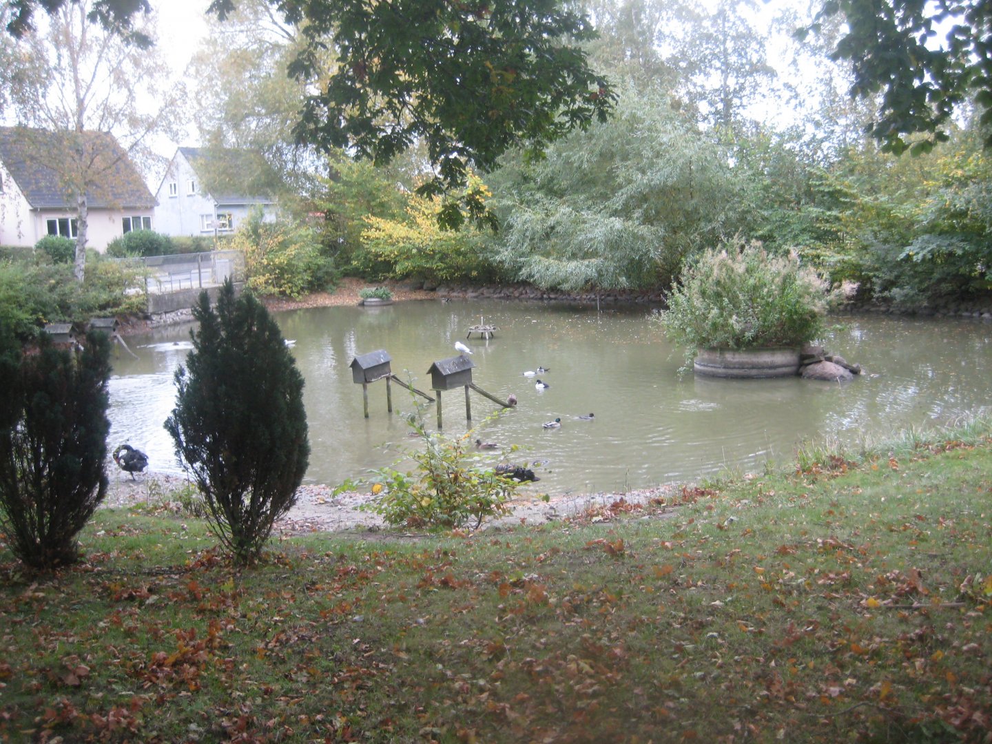 Otterup Andedam - Main pond