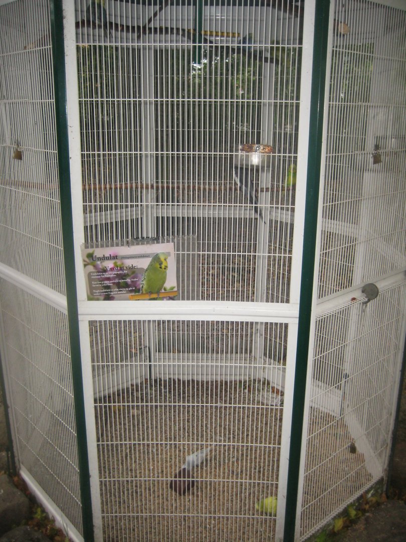 Otterup Andedam - Parrot cage