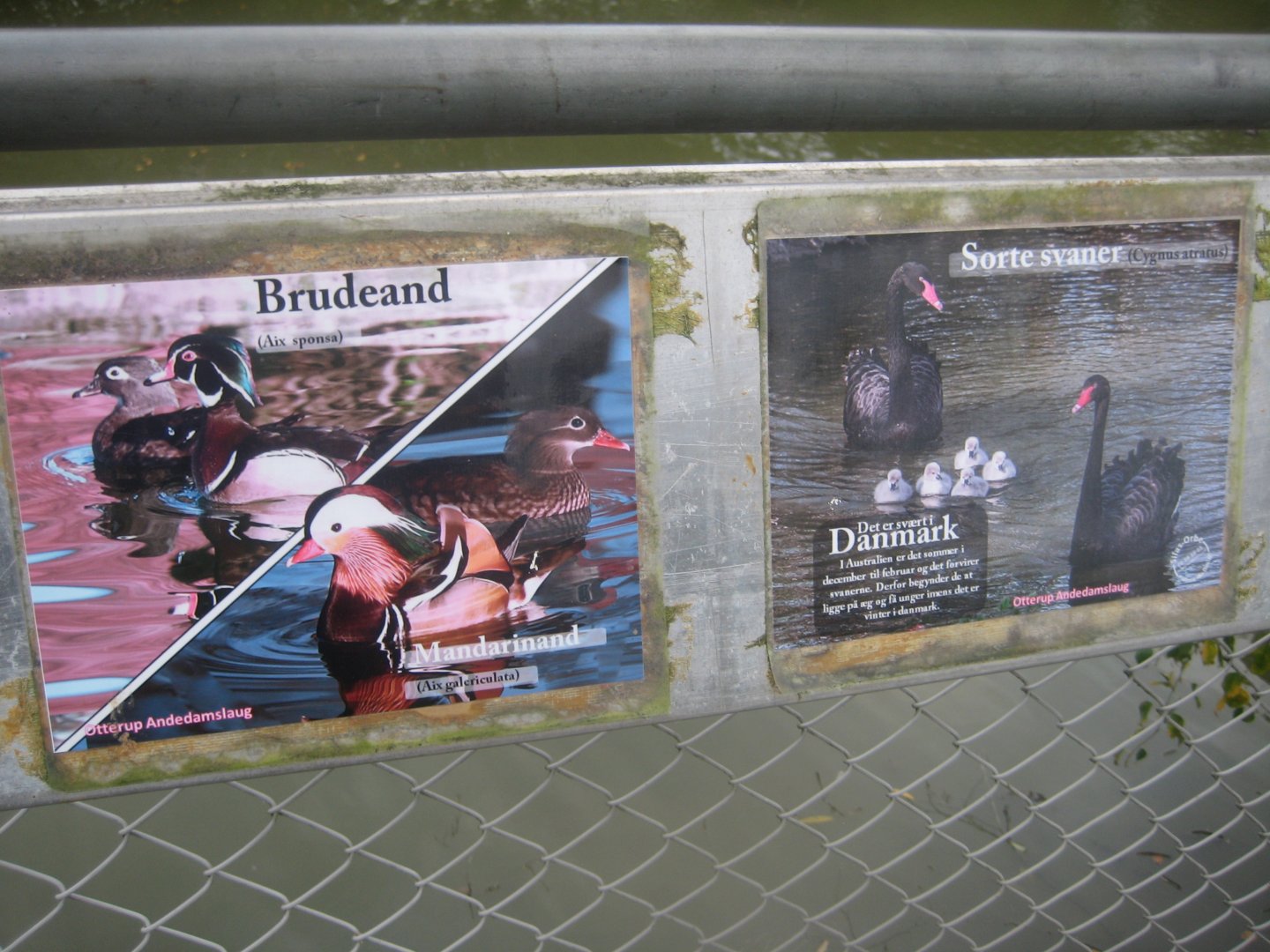 Otterup Andedam - Signage example