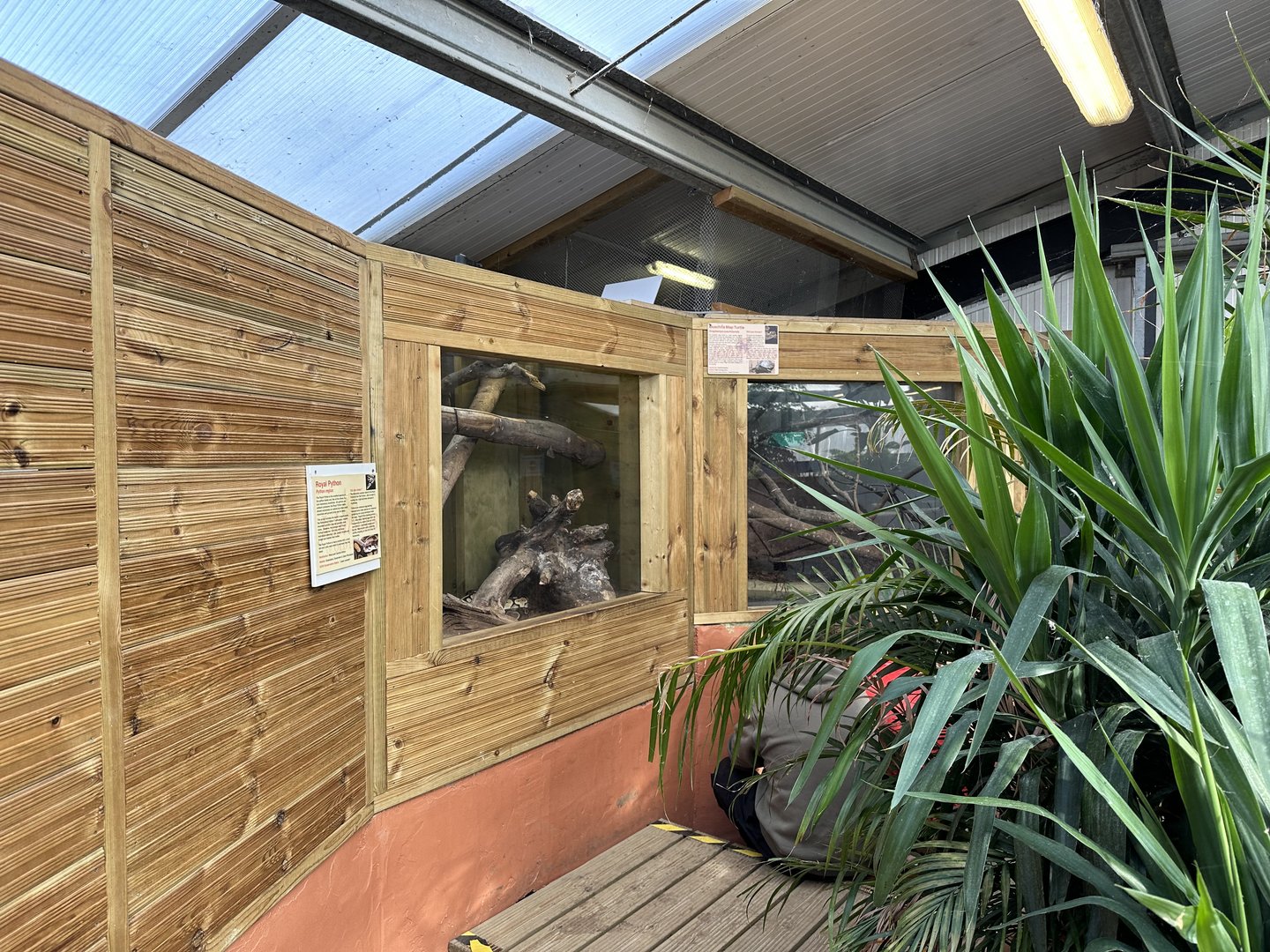 Ouachita Map Turtle / Royal Python Enclosures at Johnsons of Old Hurst (October 2023)