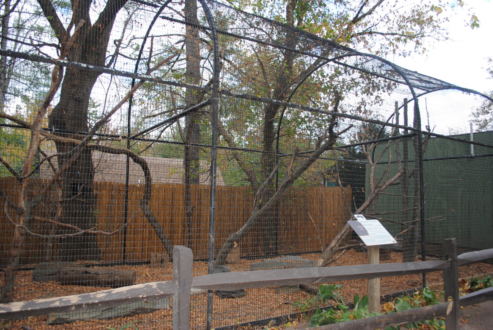Oudoor Black Howlers' Exhibit