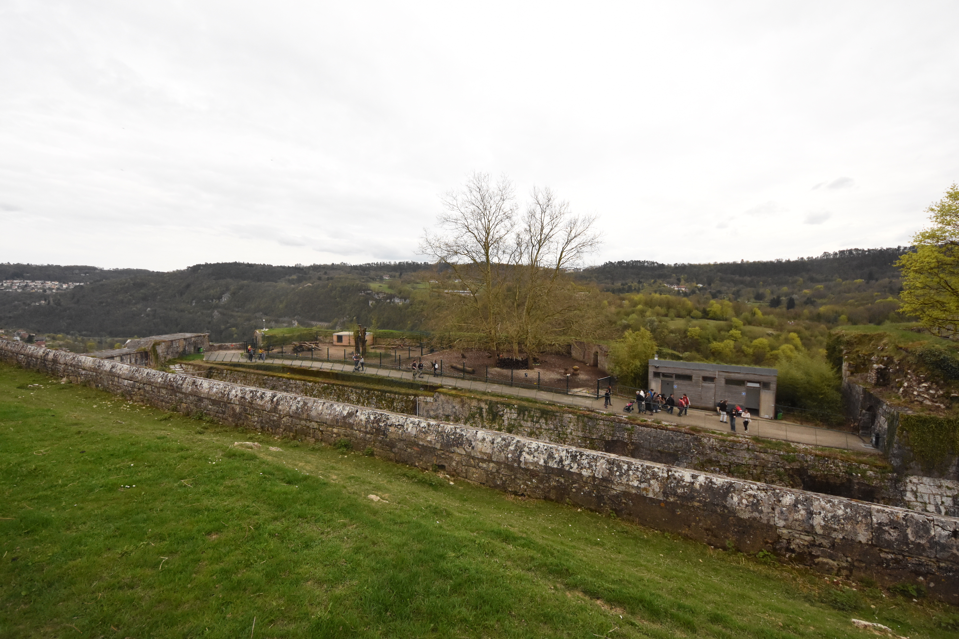 Ouessant sheep enclosure