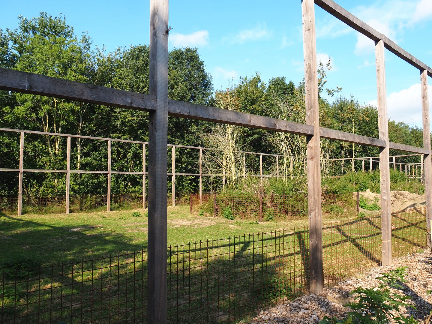 Ouessant sheep paddock, 2020-09-12