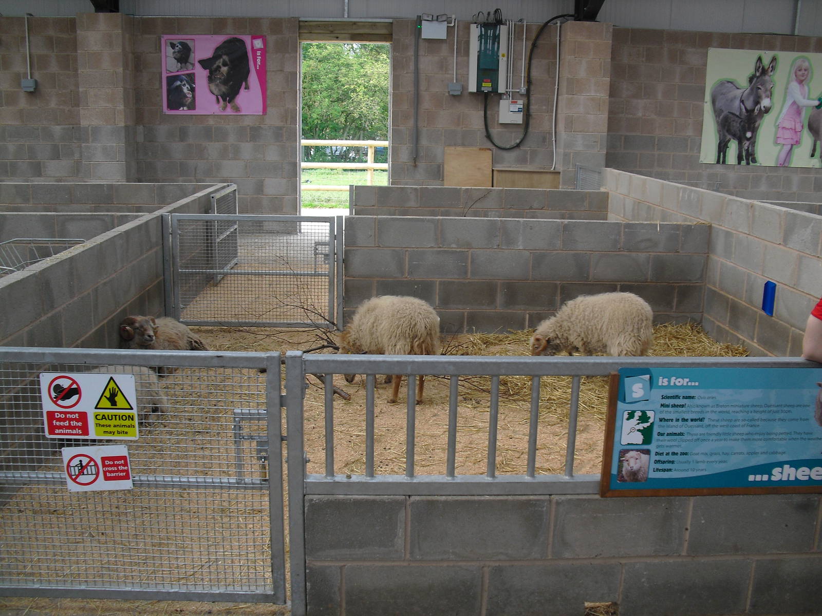 Ouessant Sheep Stalls - 01/10/2011