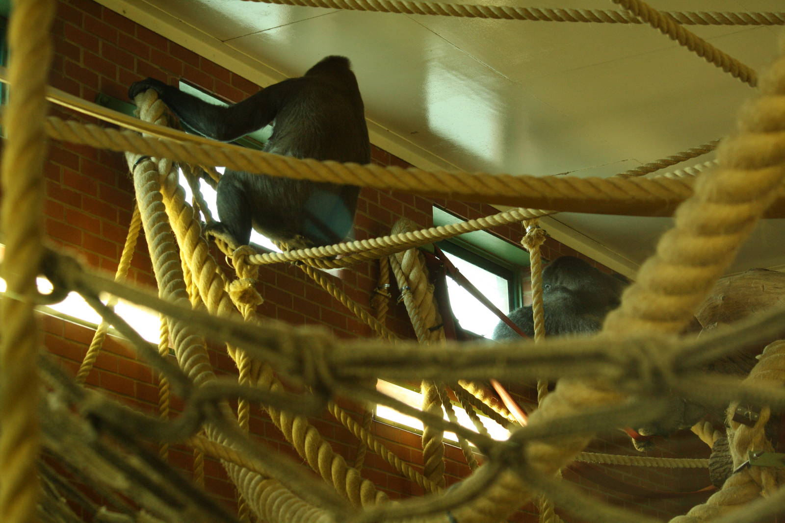 Oumbi and Ozala 24 August 2010