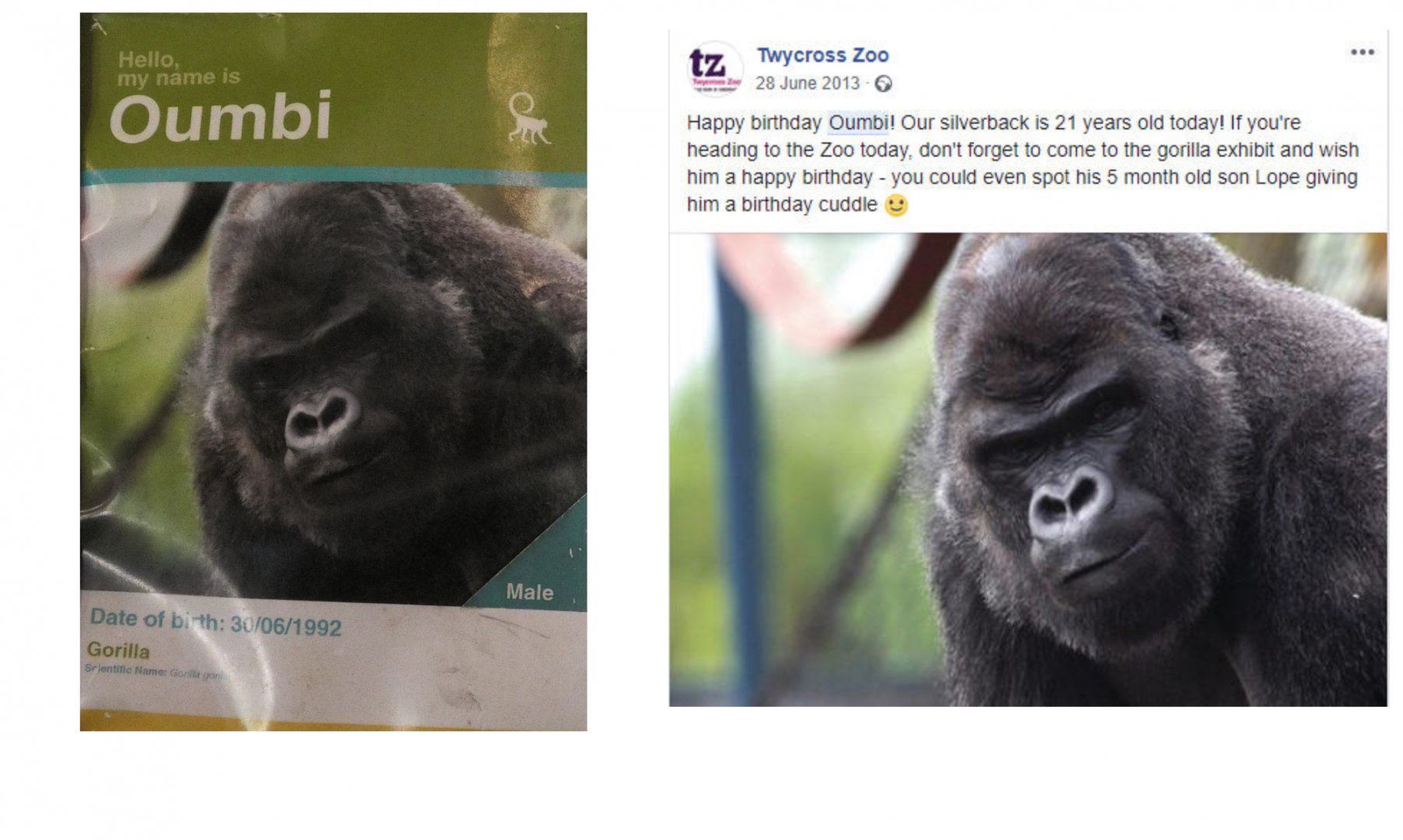 Oumbi Birthday Riddle