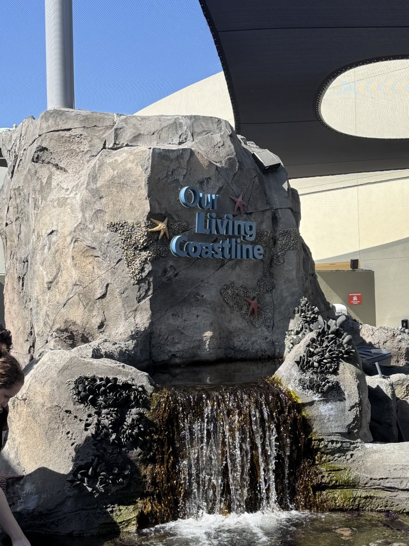 Our Living Coastline