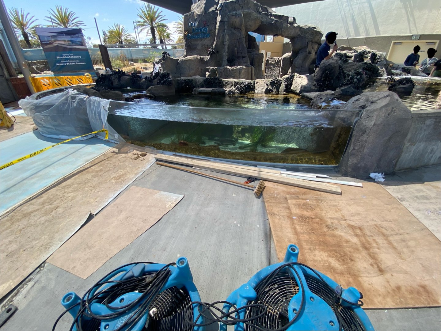 Our Living Coastlines