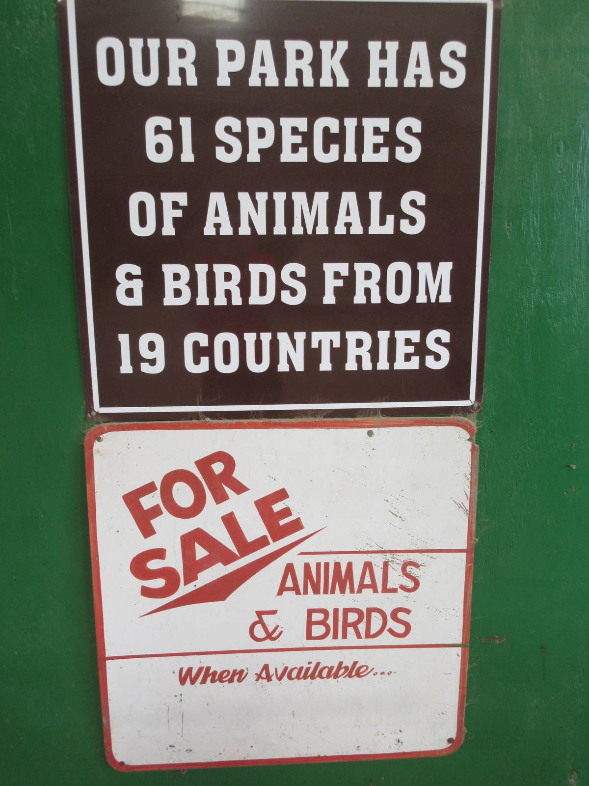 Our park has animals for sale!
