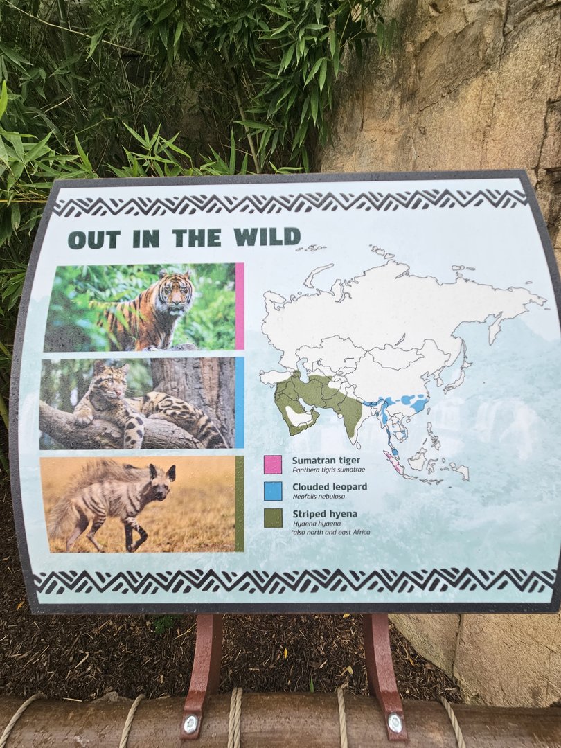 Our three Asian predators