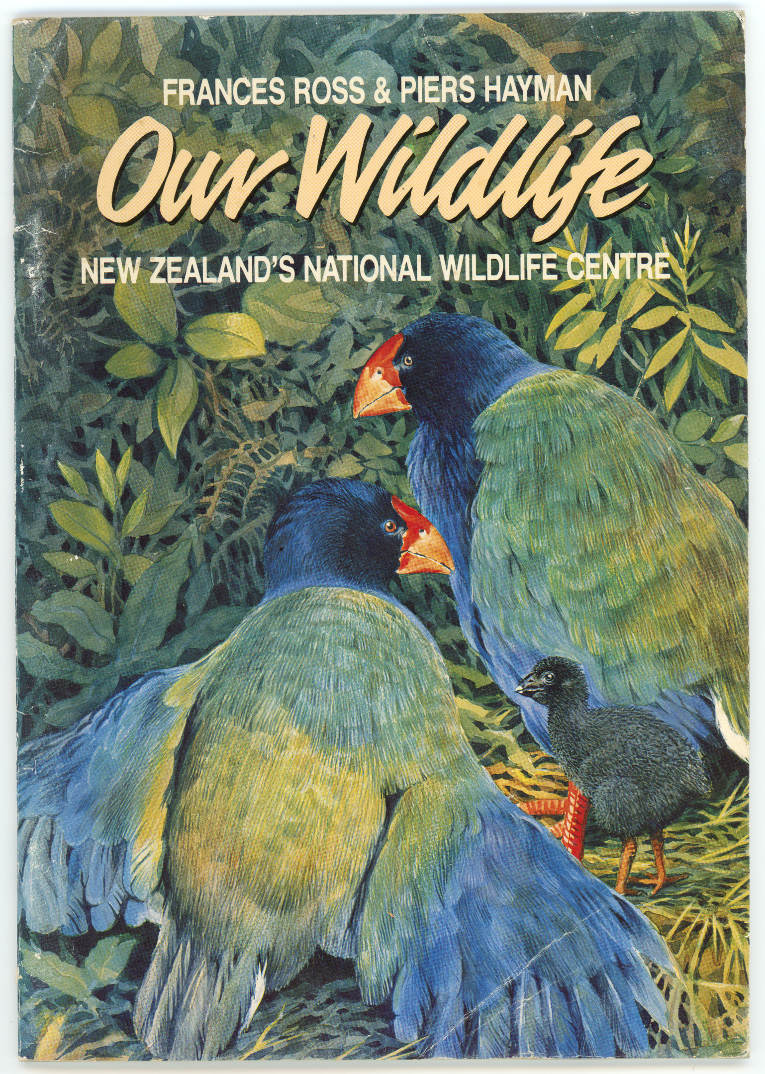 Our Wildlife: New Zealand’s National Wildlife Centre