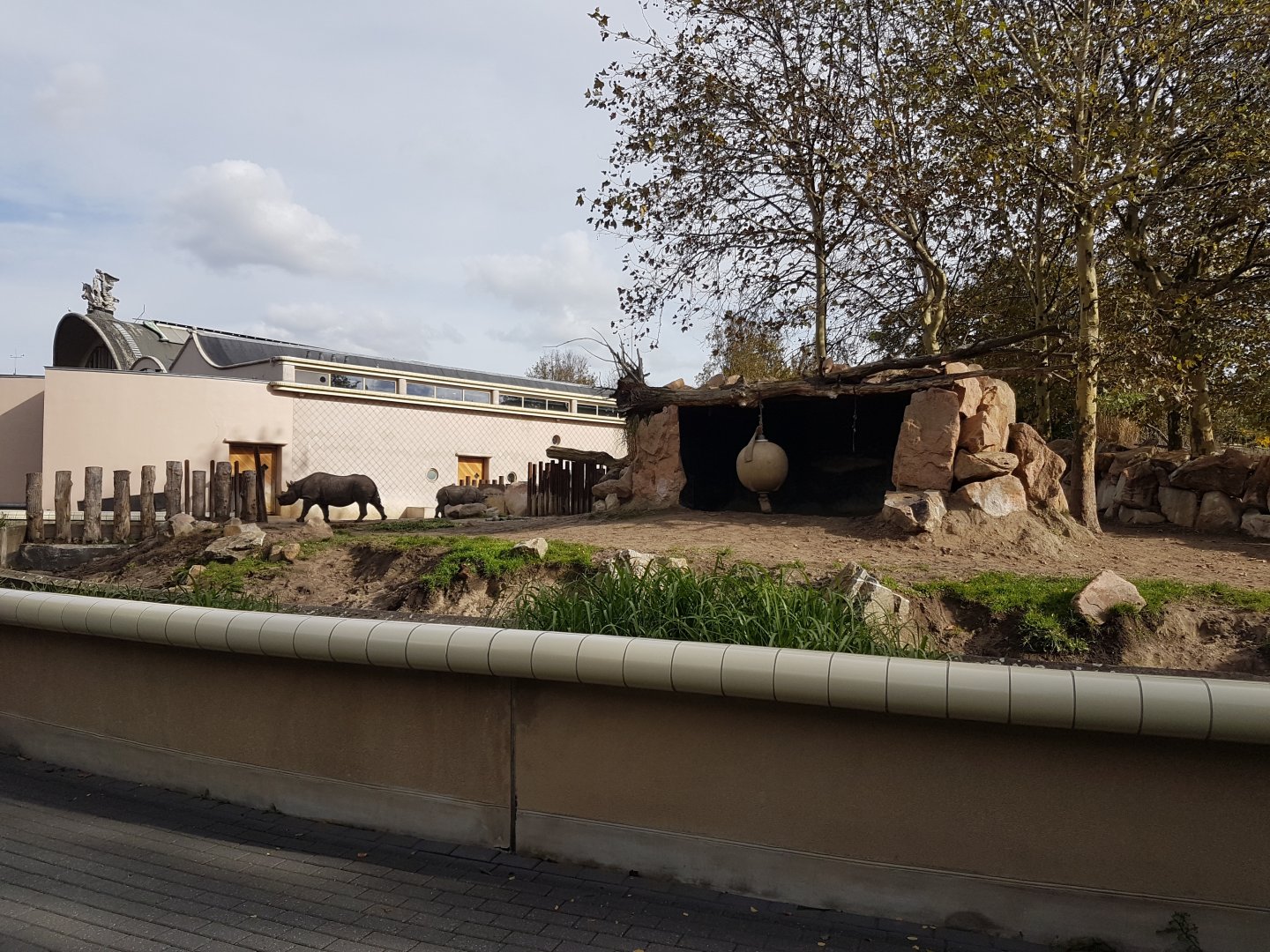 Out-door enclosure Black rhino