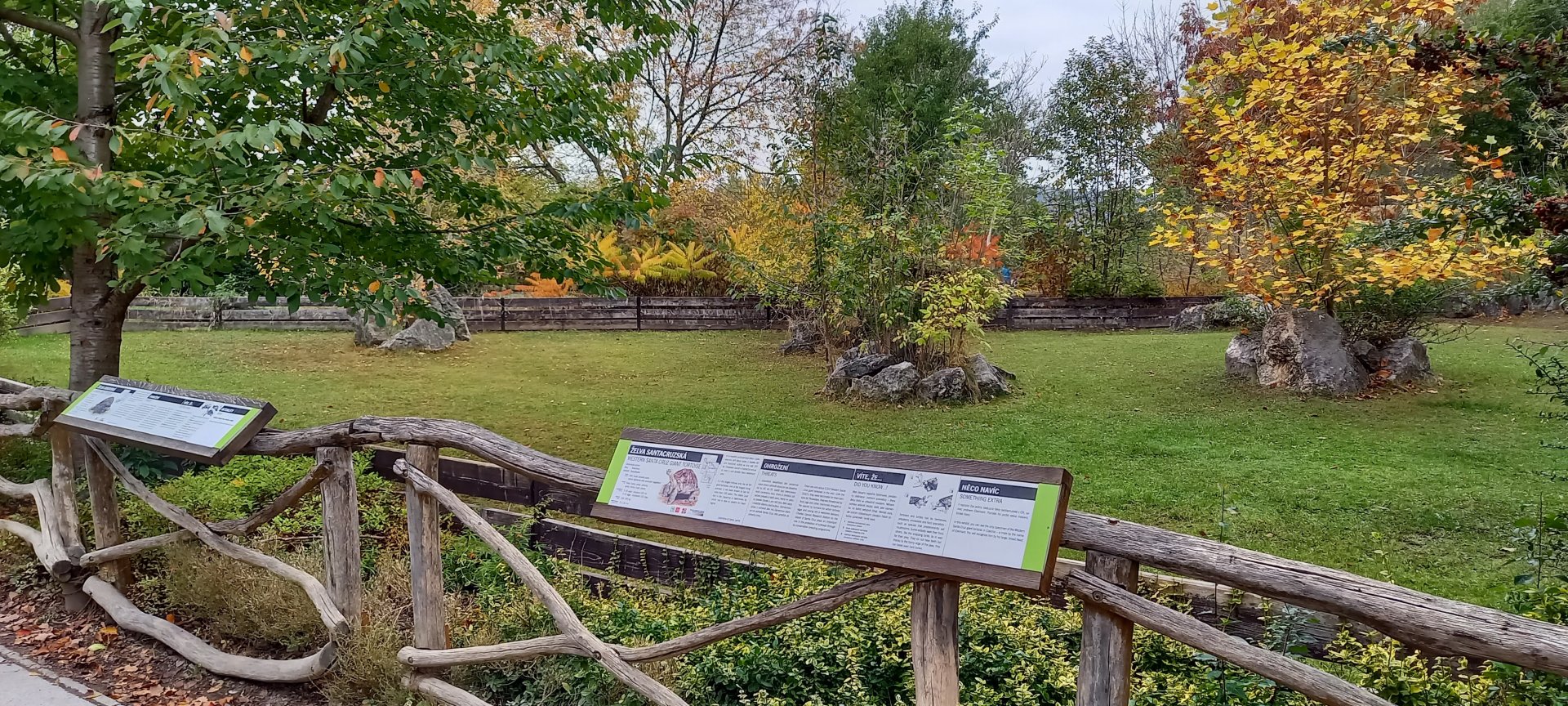 Out-door enclosure Giant tortoise