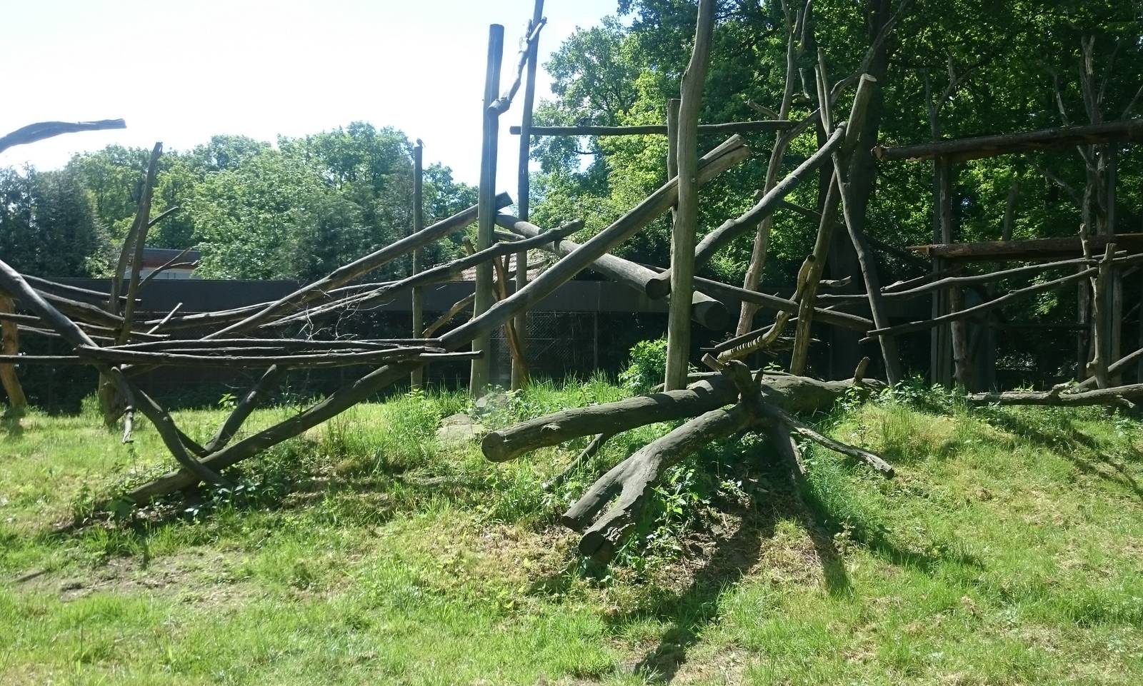 Out-door enclosure Lion-tailed macaque