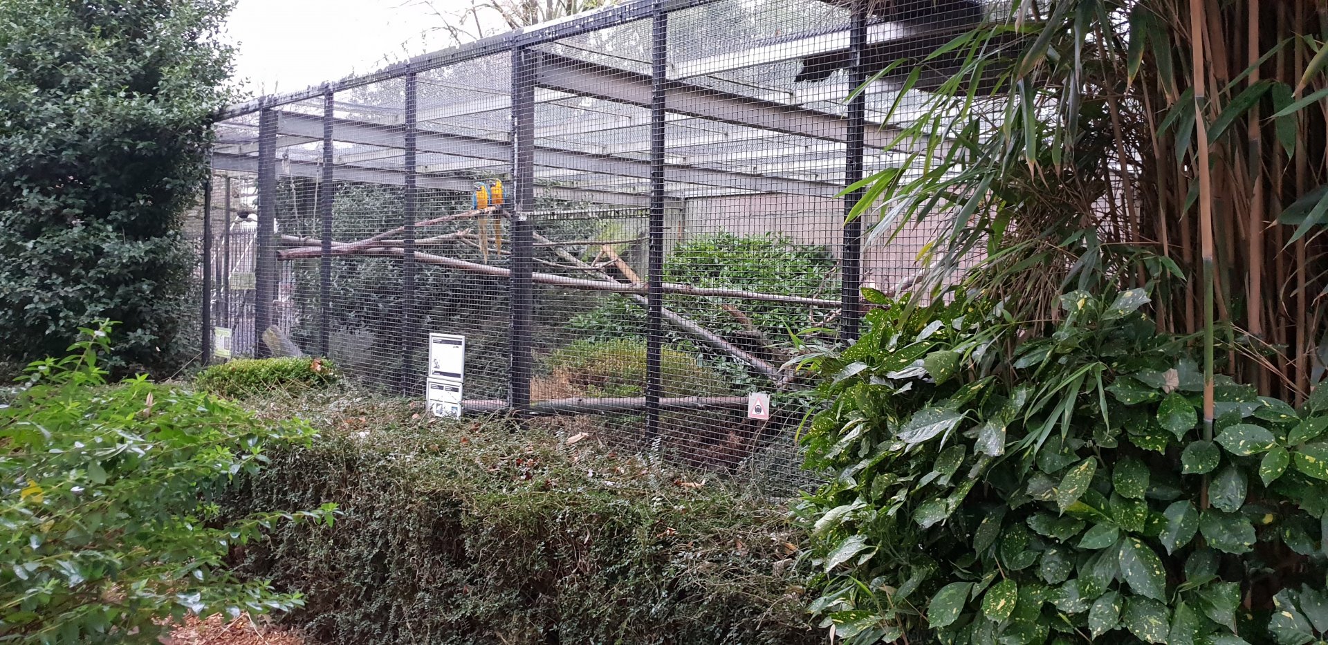 Out-door enclosure Squirrel monkey and Macaw