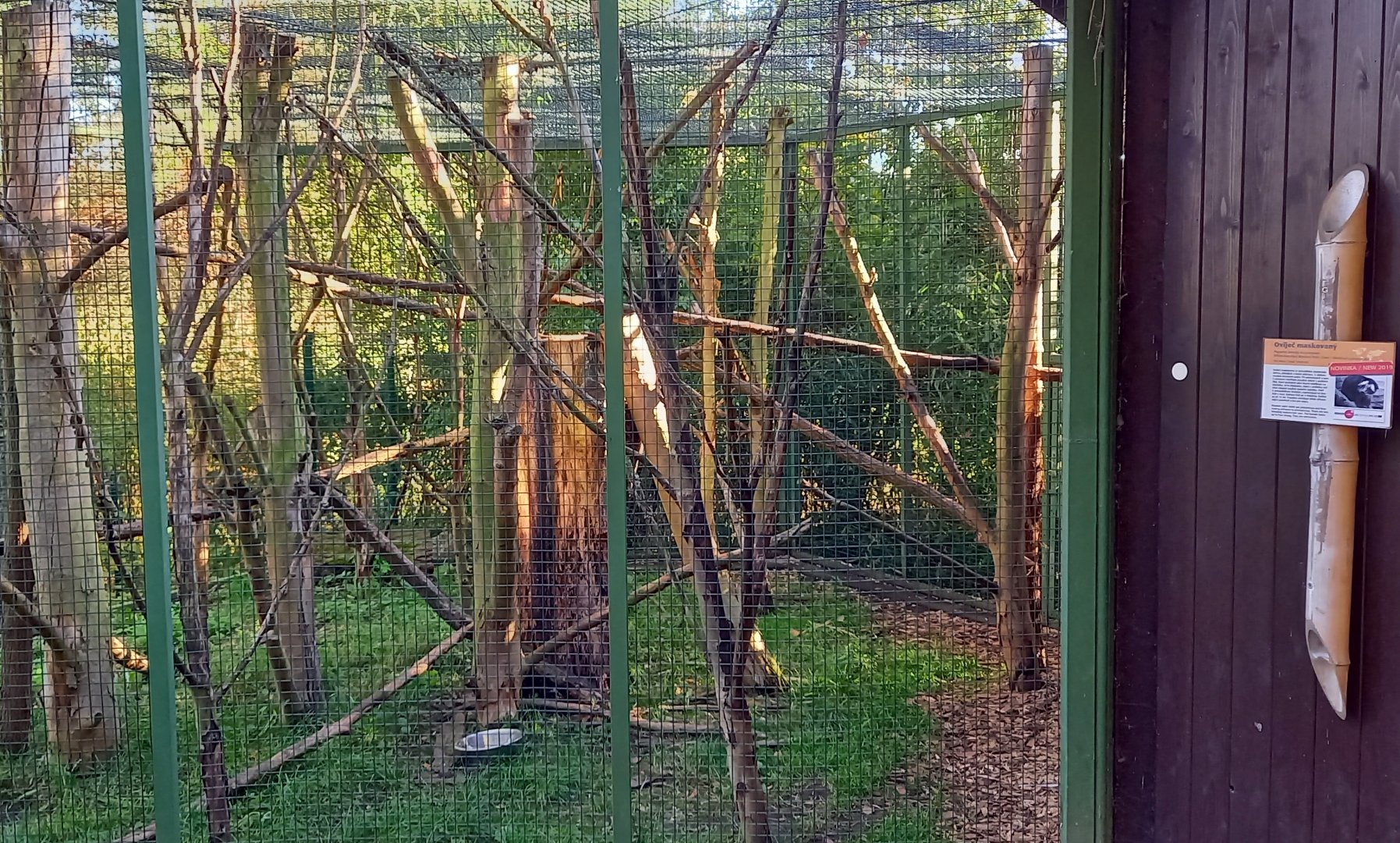 Out-door enclosure White-bearded palm civet