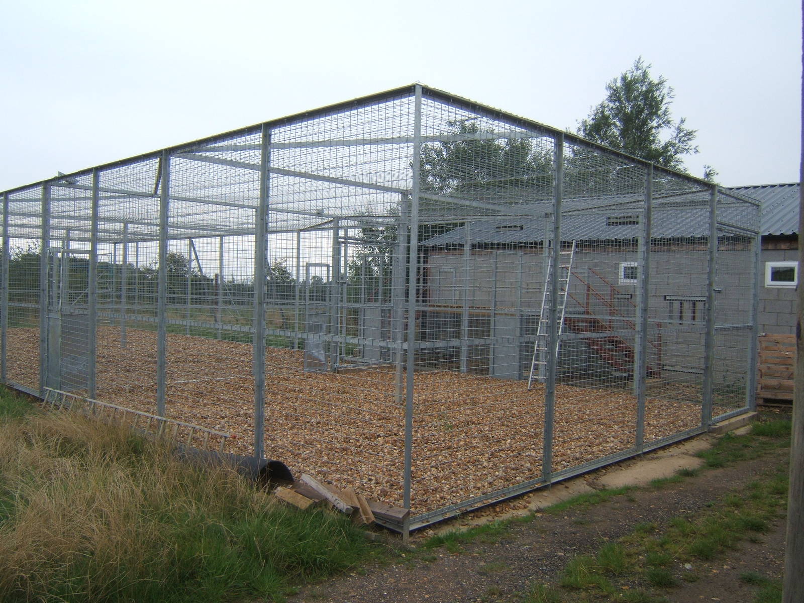 Out door holding cages for Malayan Tigers