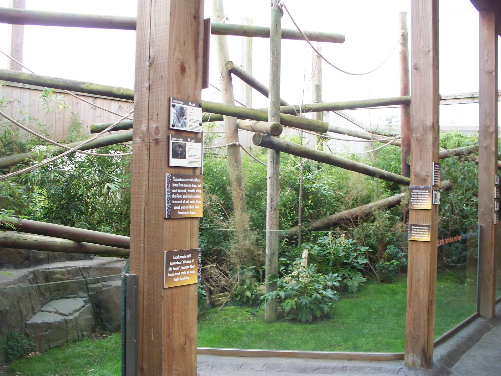 out door sloth enclosure 29th Nov 13