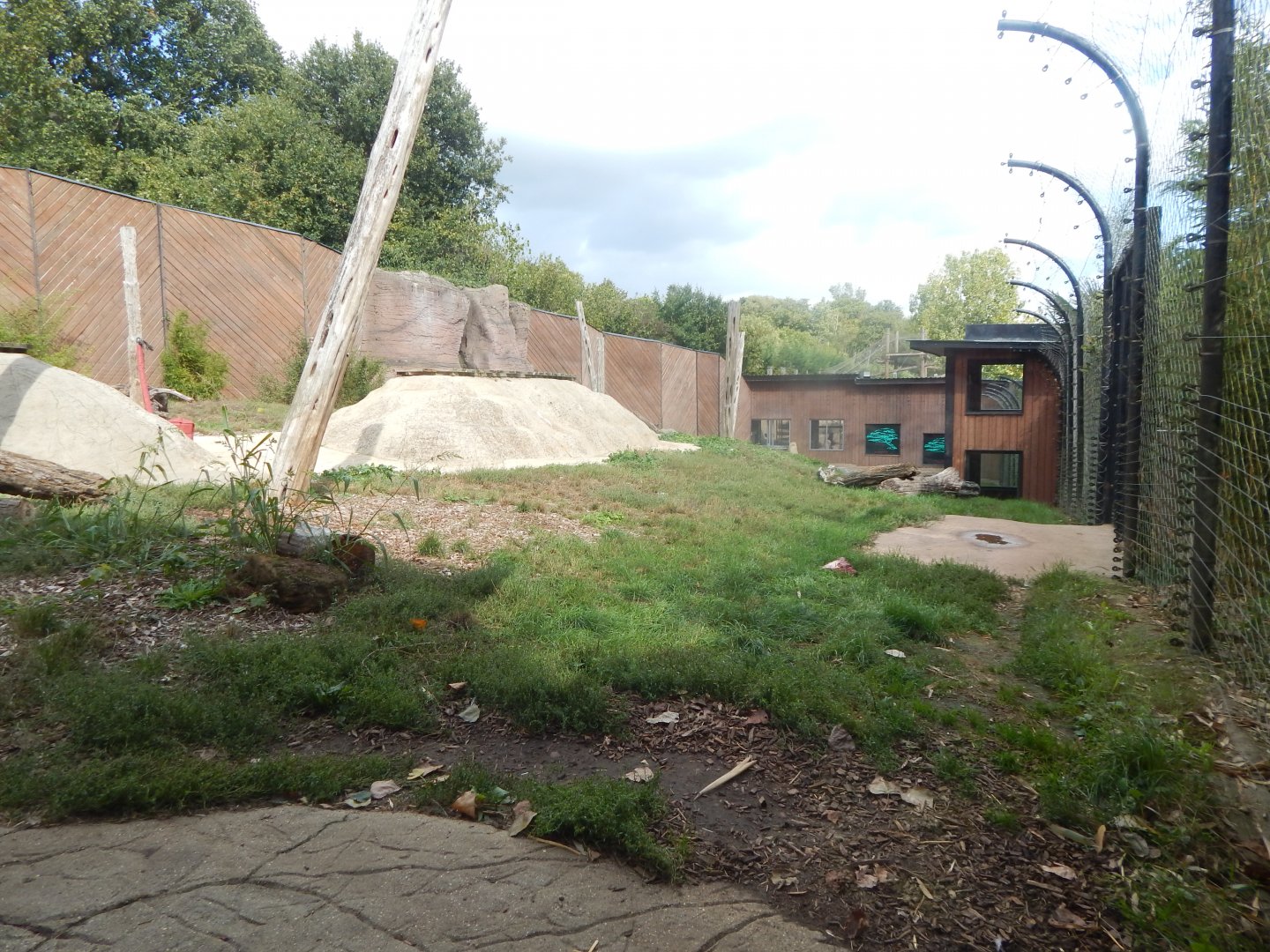 Out of Africa - African lion enclosure 110925
