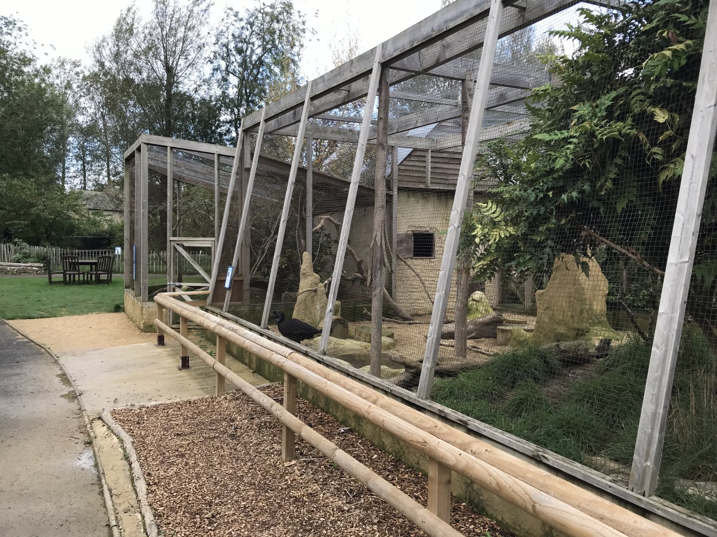 Out of Africa aviary 081019