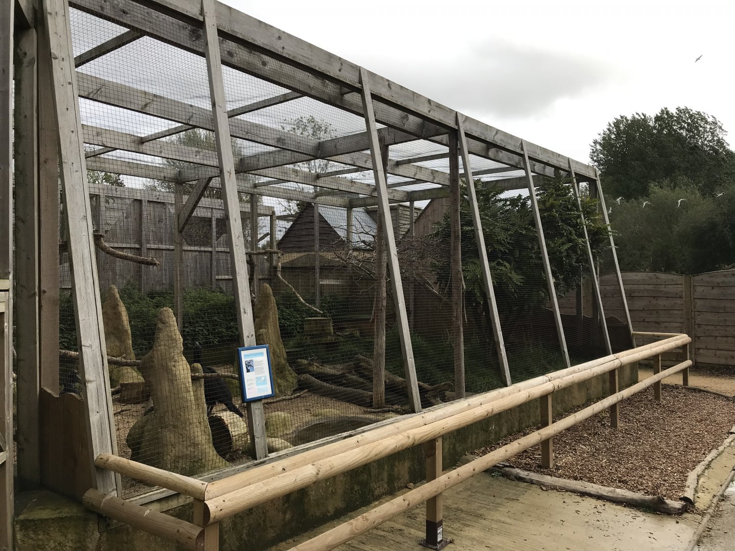 Out of Africa aviary 081019