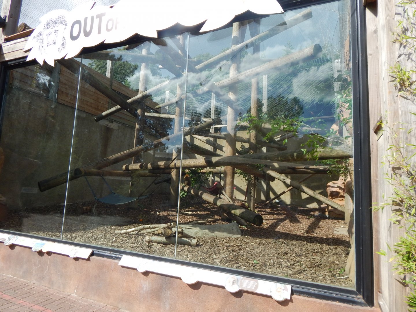 Out of Africa - Barbary macaque enclosure 110925