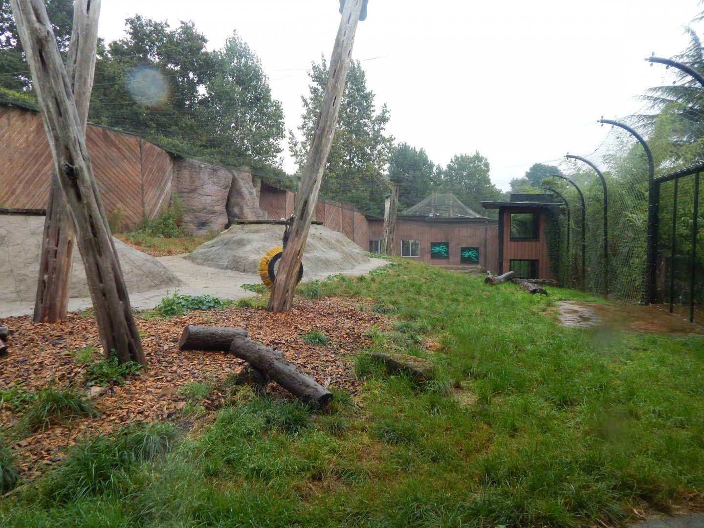 Out of Africa - Lion enclosure 140921