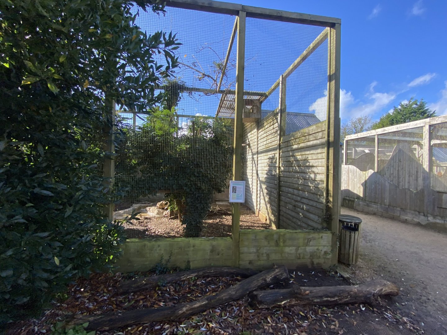 Out of Africa - Mackinder’s eagle-owl aviary 241023