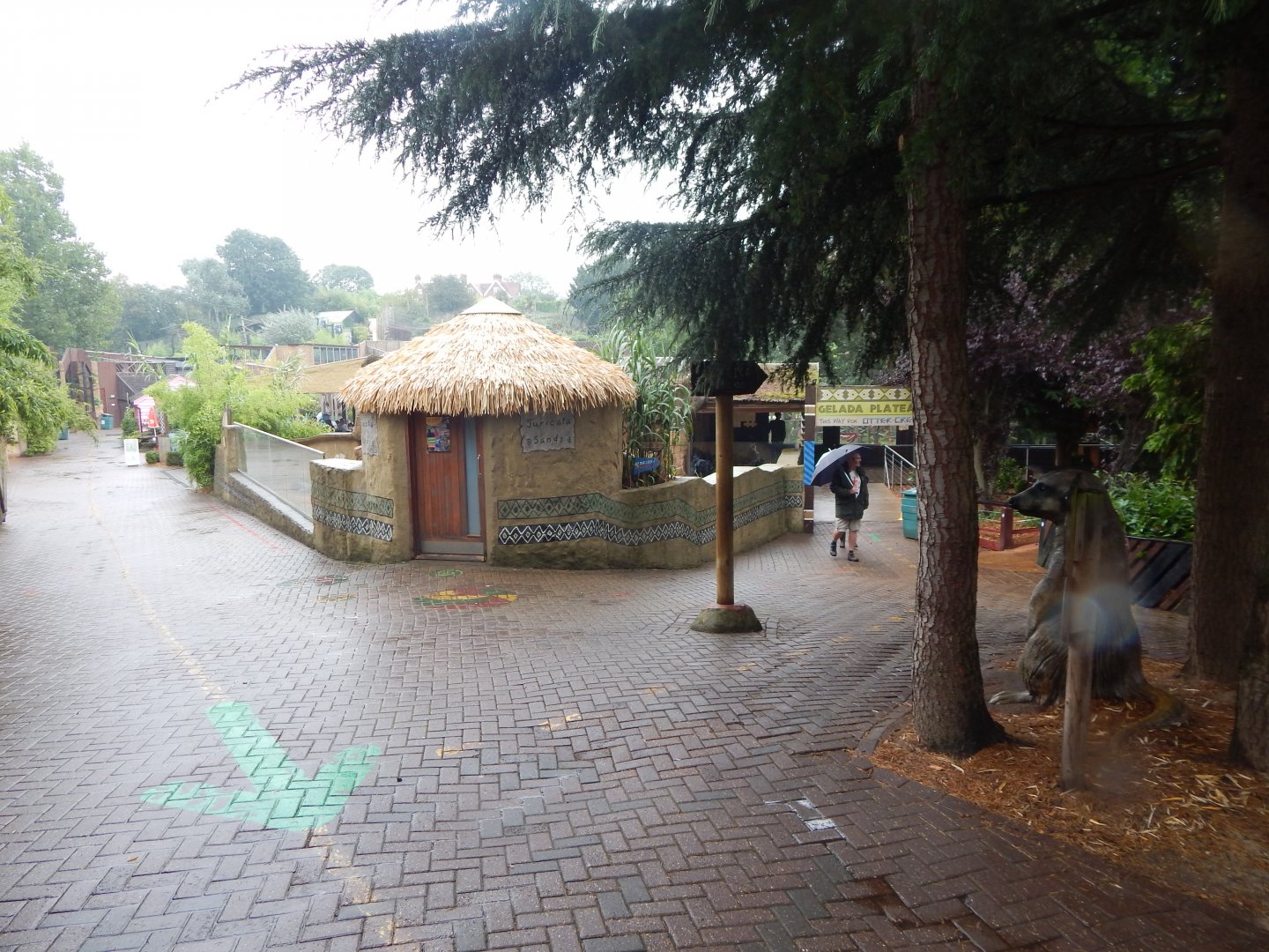 Out of Africa - Meerkat enclosure 140921