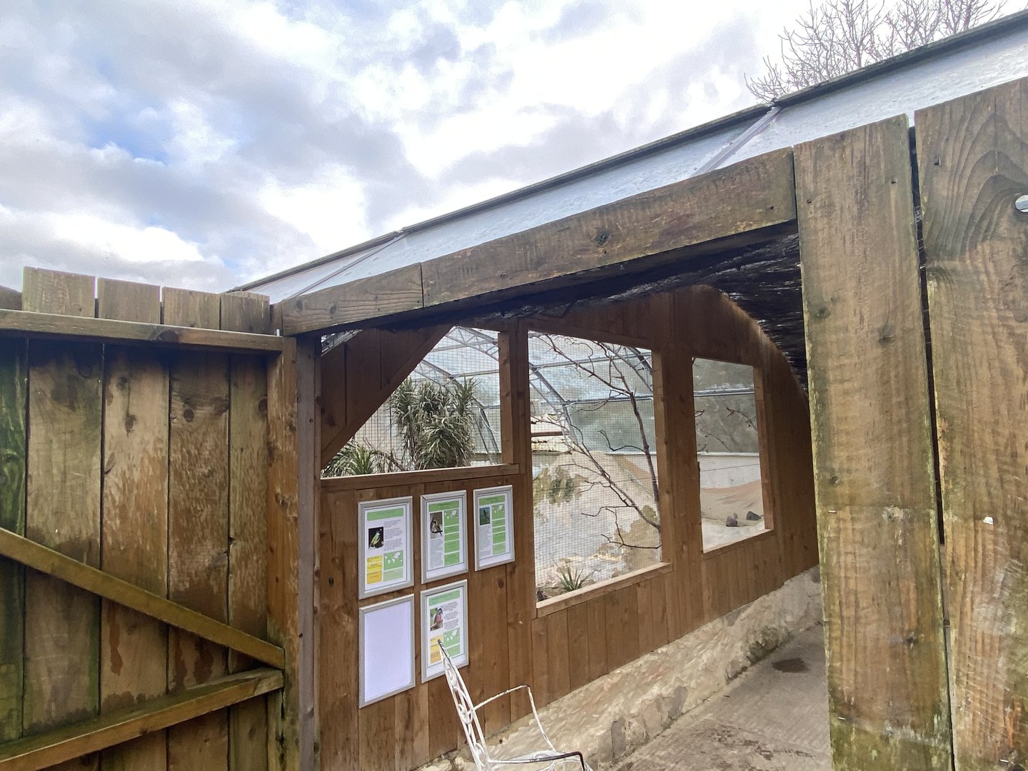 Out of Africa mixed aviary 010323