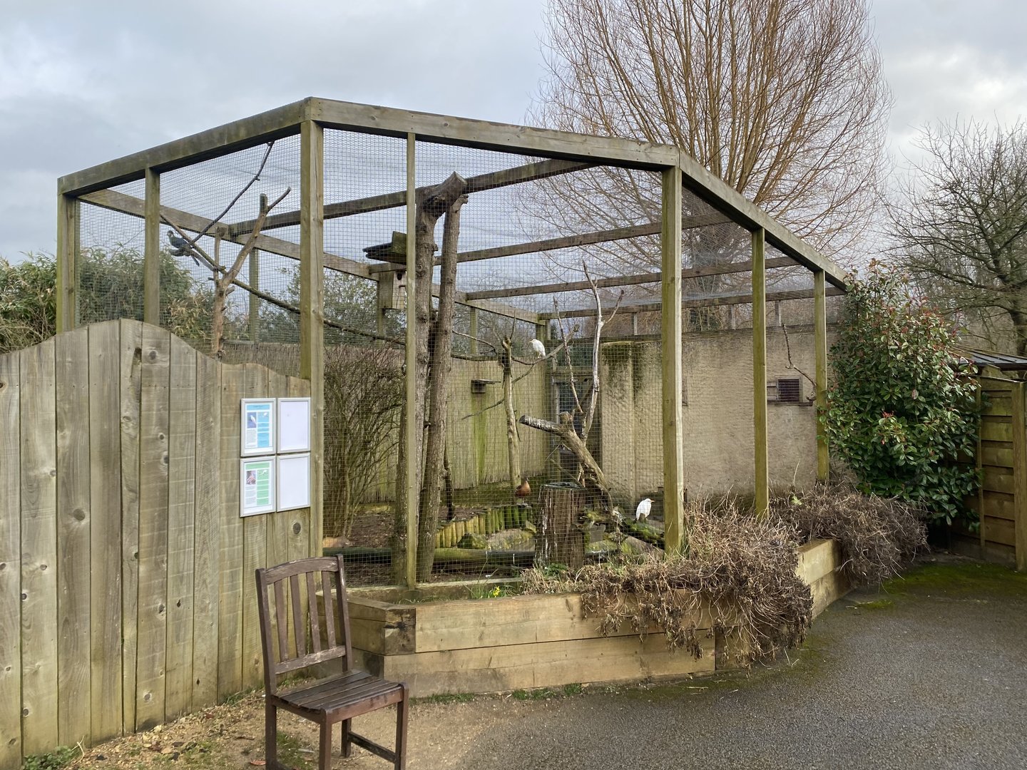 Out of Africa mixed aviary 010323