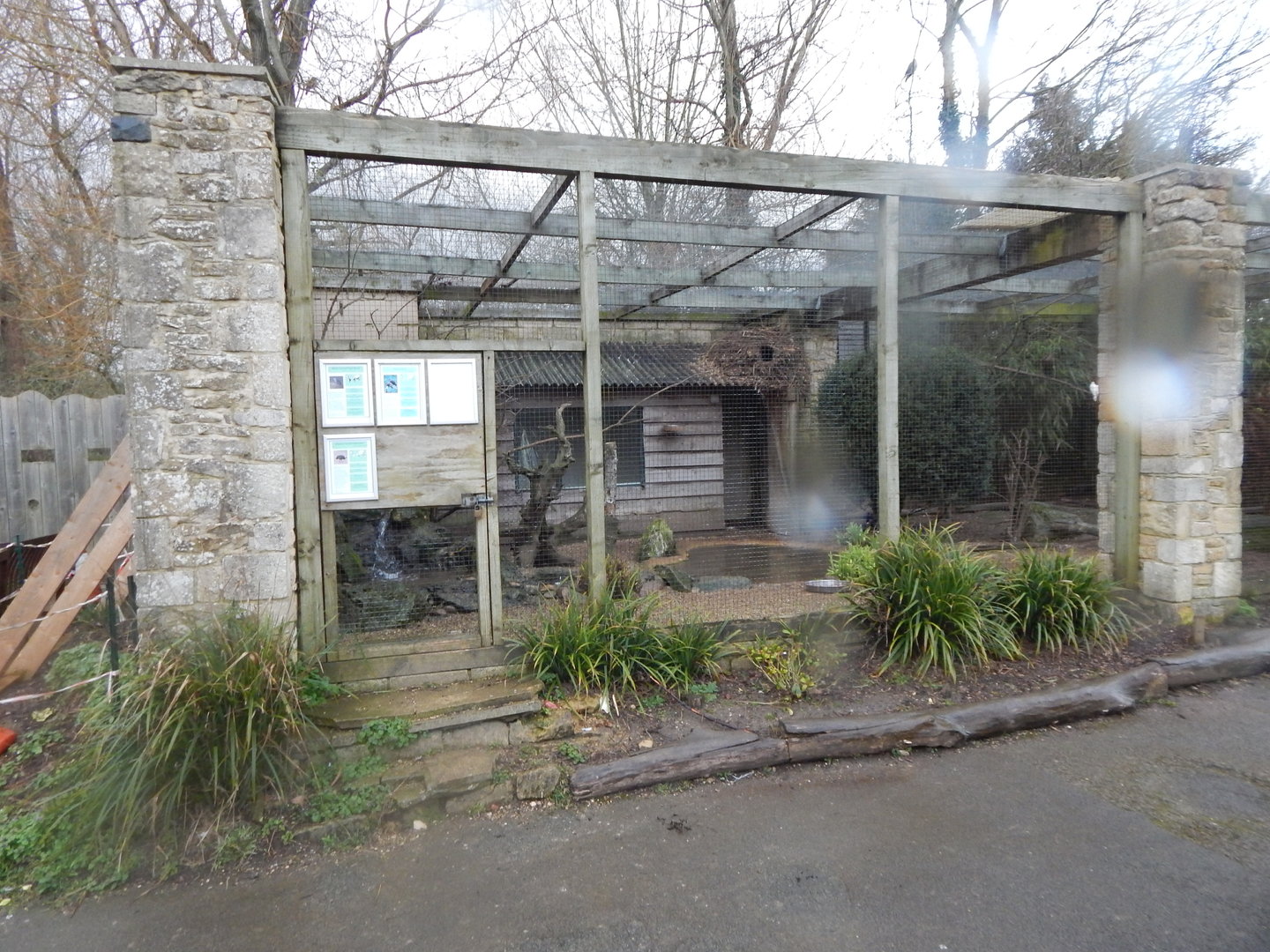 Out of Africa - Mixed aviary 010323