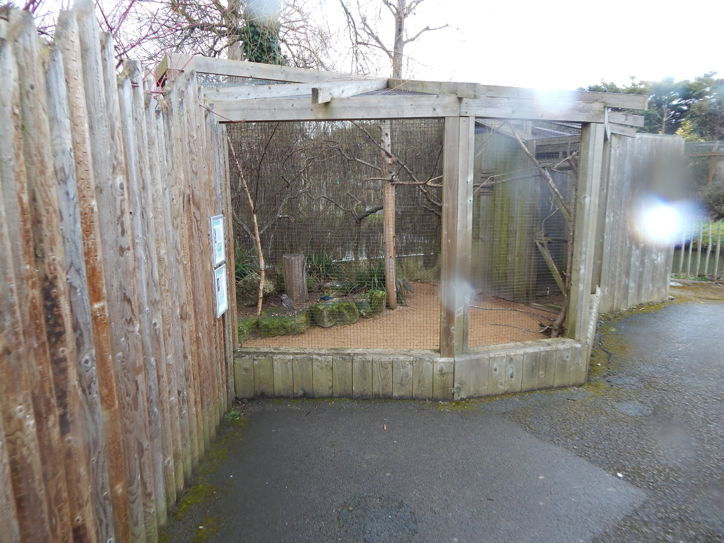 Out of Africa - Mixed aviary 010323