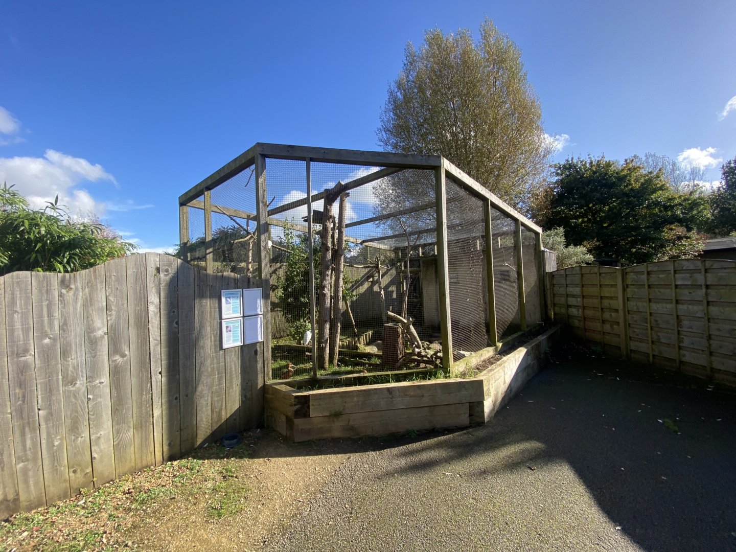 Out of Africa - Mixed aviary 241023