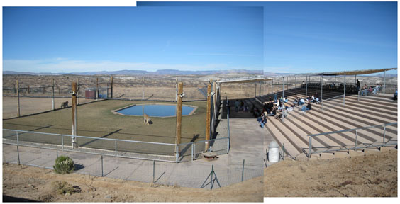 Out Of Africa, New Years Day 2010