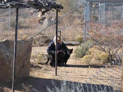 Out Of Africa, New Years Day 2010