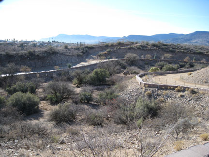 Out Of Africa, New Years Day 2010