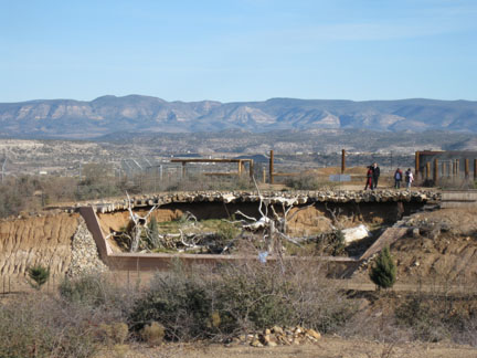 Out Of Africa, New Years Day 2010
