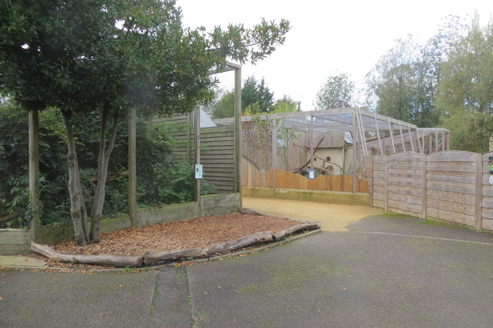 Out of African aviaries 081019