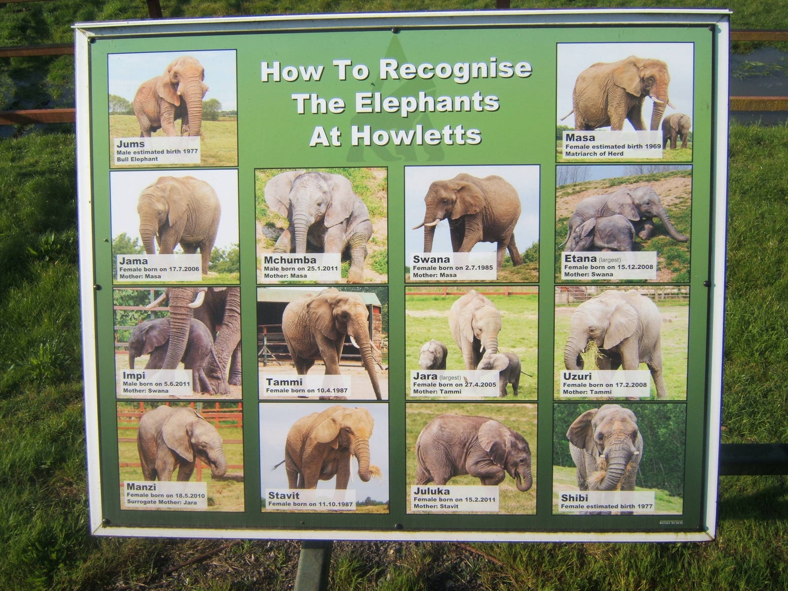 Out of date who`s who of the Elephants