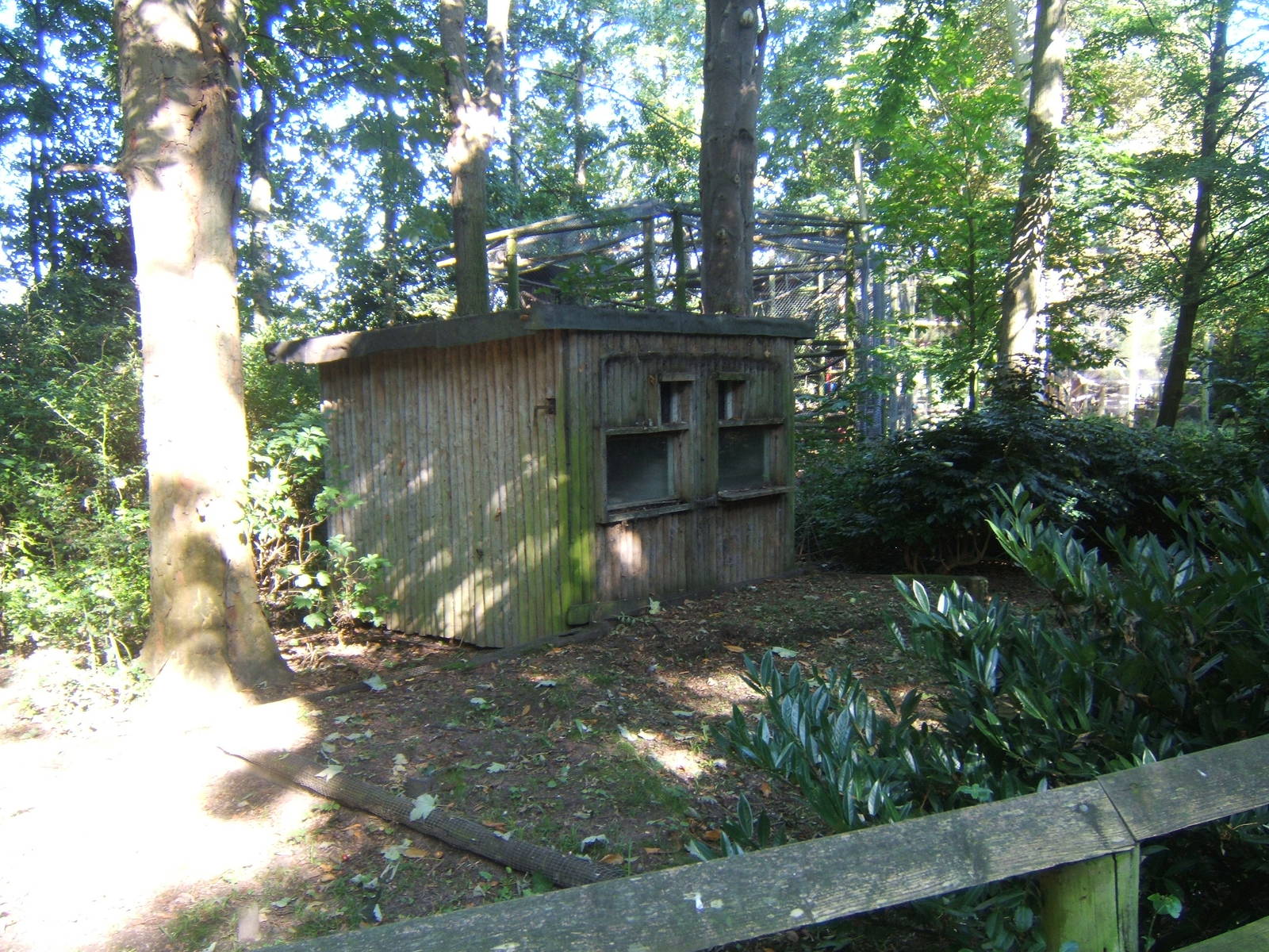 Out of use old small cat enclosure`s