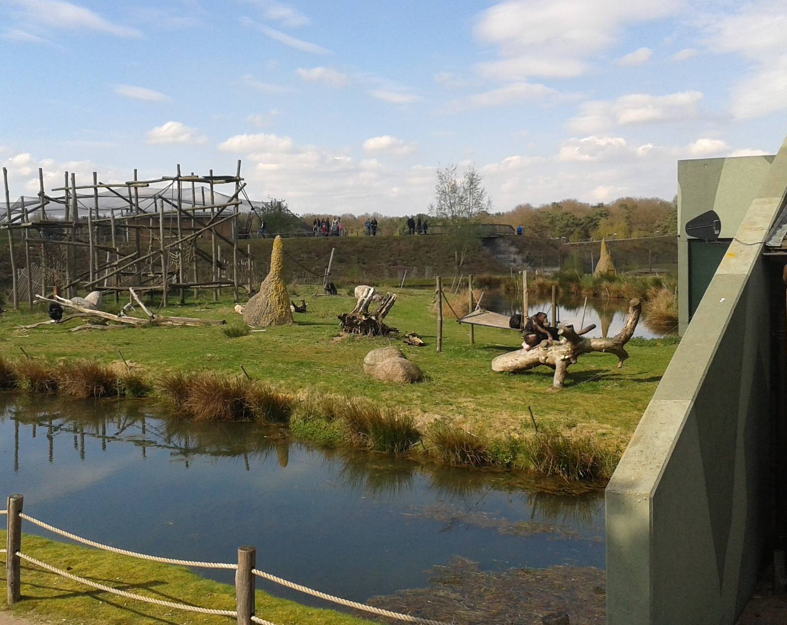 Out-side area of the second chimp-group