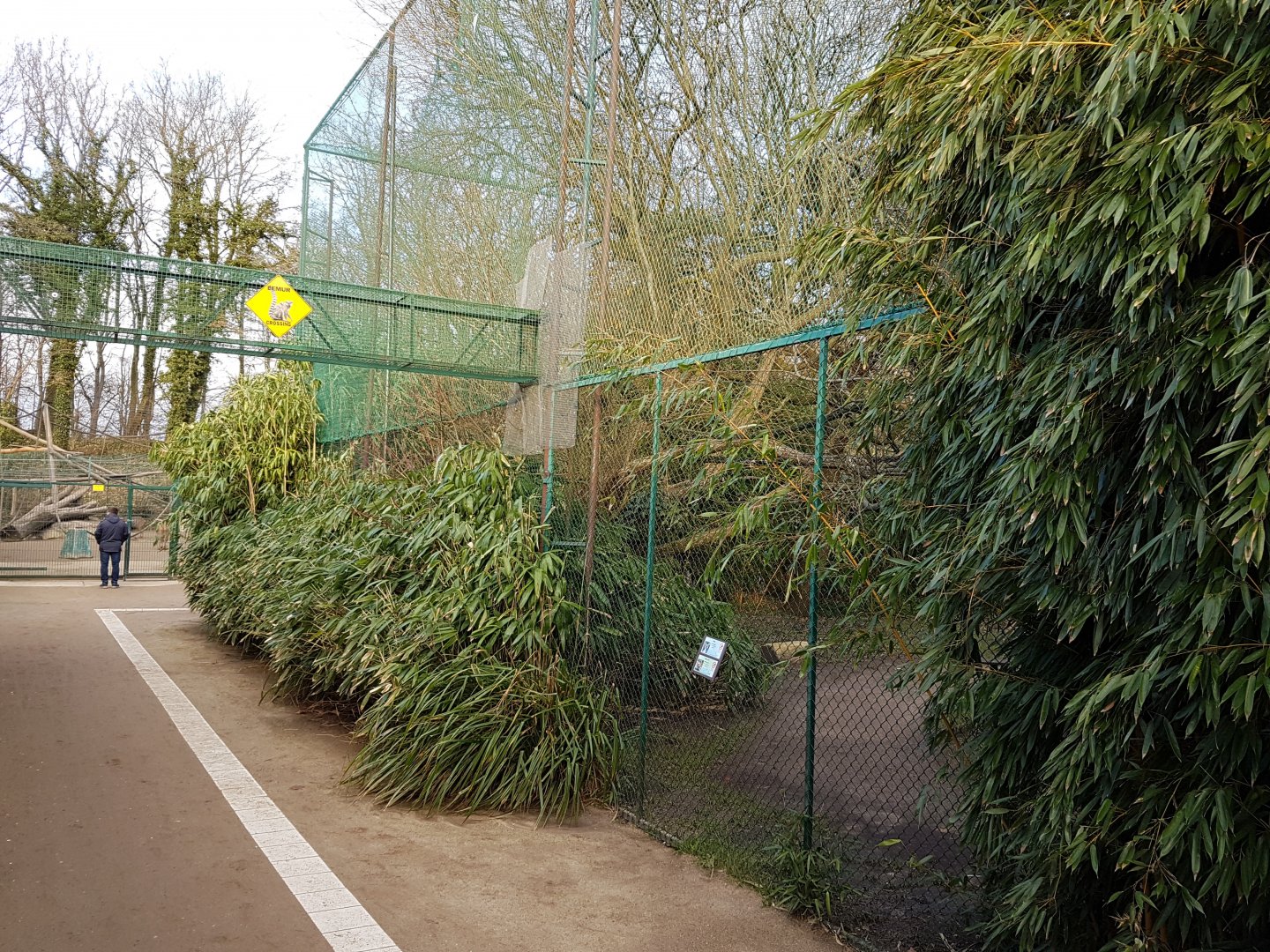 Out-side Lemur Walk-through