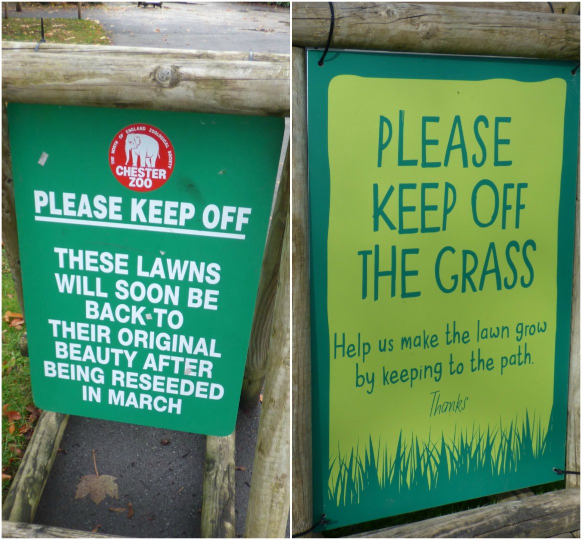 Out with the old....In with the new