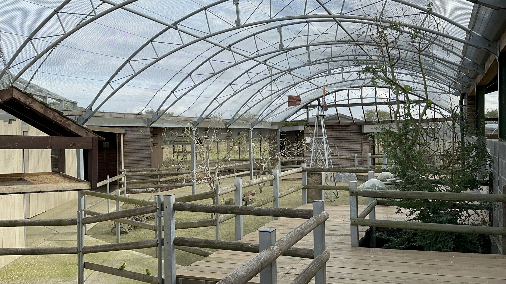 Outback Aviary at Hamerton Zoo Park (October 2023)