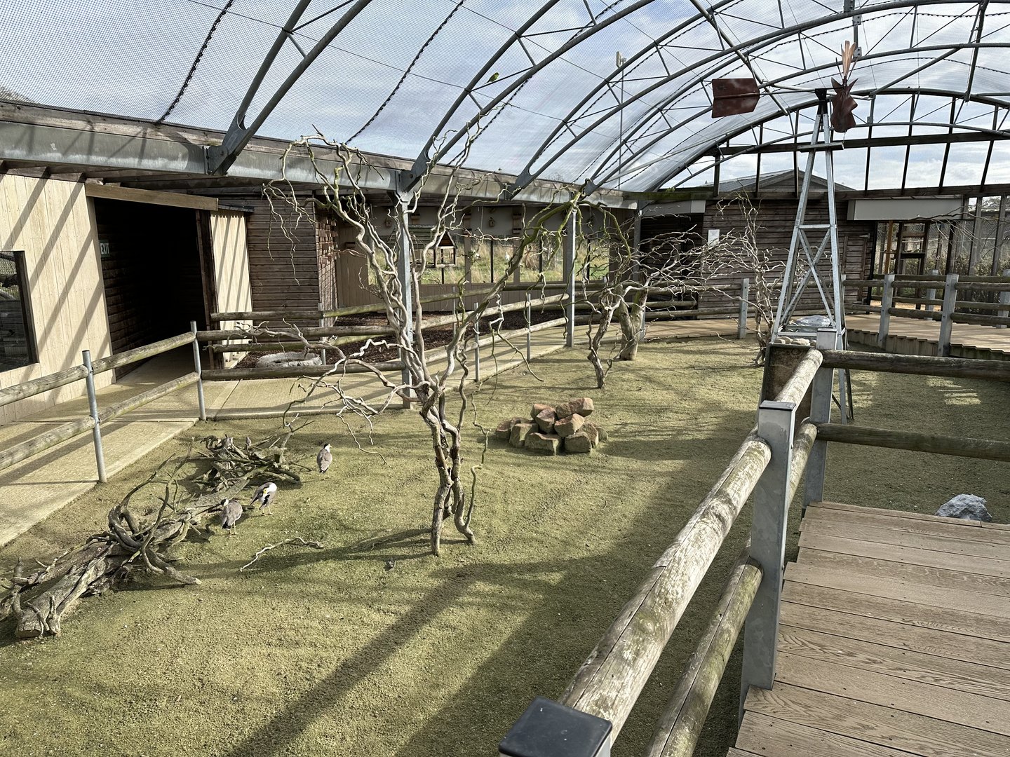 Outback Aviary at Hamerton Zoo Park (October 2023)