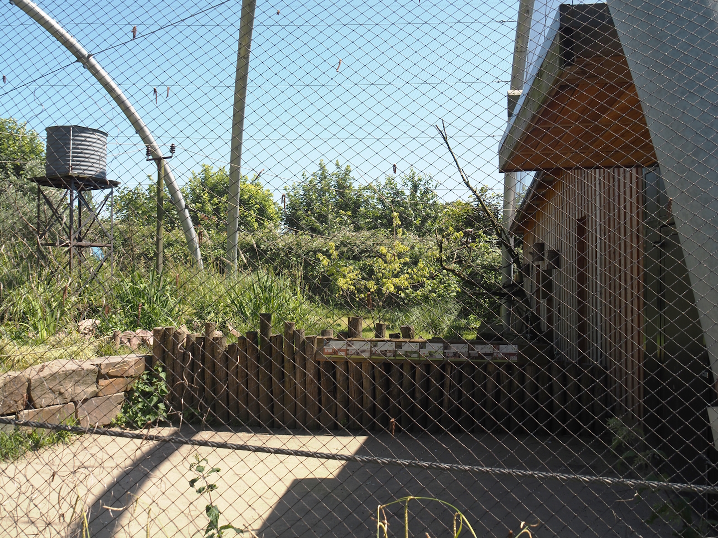 Outback aviary - Interior viewing area, 2024-06-08